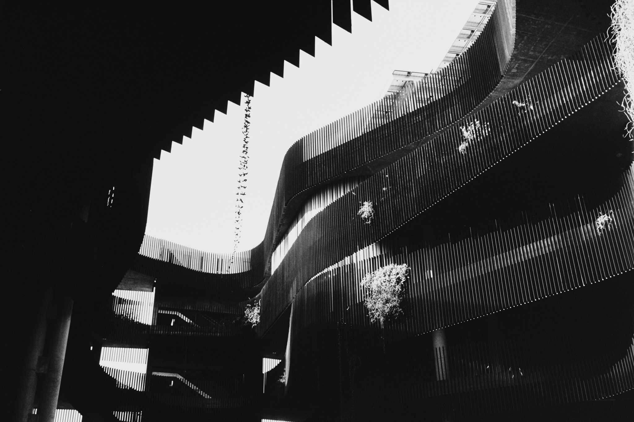 Negative Lab Pro v2.2.0 | Color Model: B+W | Pre-Sat: 4 | Tone Profile: LAB –
Hard | WB: Auto-Neutral | LUT: Frontier