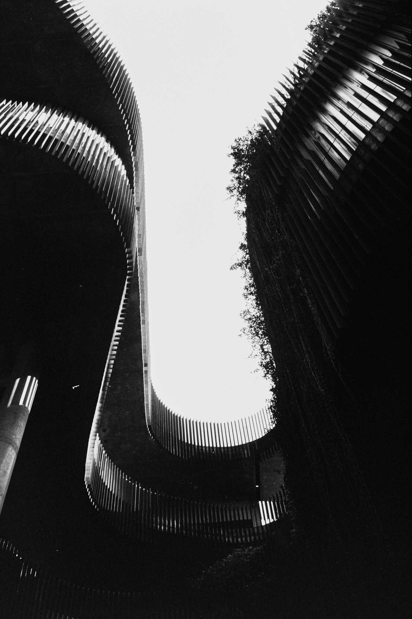 Negative Lab Pro v2.2.0 | Color Model: B+W | Pre-Sat: 4 | Tone Profile: LAB –
Hard | WB: Auto-Neutral | LUT: Frontier