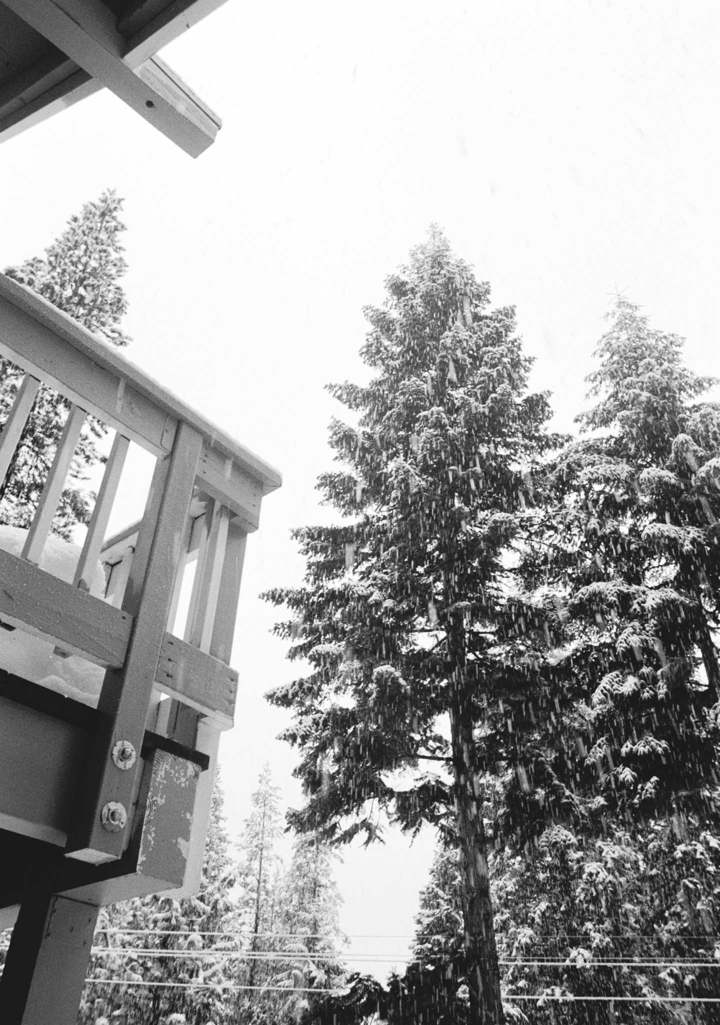 Nikon FE2 | Nikon 50mm f/1.8D Nikkor | Kodak Tri-X 400

Scanned with Noritsu LS-600

Lab developed in Kodak Xtol