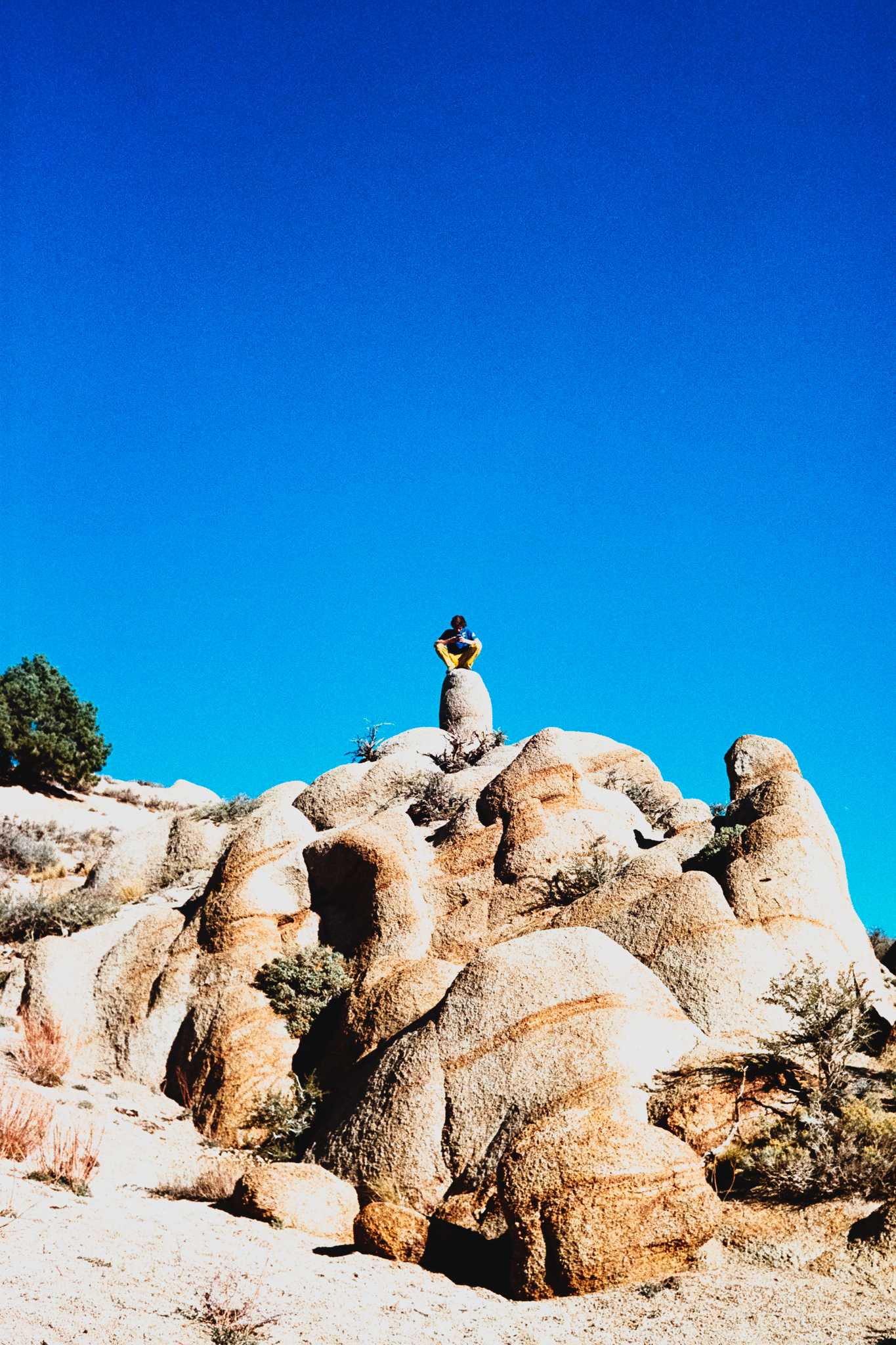 Nikonos V | Nikon 35mm f/2.5 | Kodak Color Gold 400

Digitized with Canon EOS Rebel T7 w/Tamron 90mm f/2.8 Macro | Skier Sunray Box 3
| Skier Sunray Box 3

Lab developed in

Negative Lab Pro v2.2.0 | Color Model: Frontier | Pre-Sat: 4 | Tone Profile: LAB
– Hard | LUT: Frontier