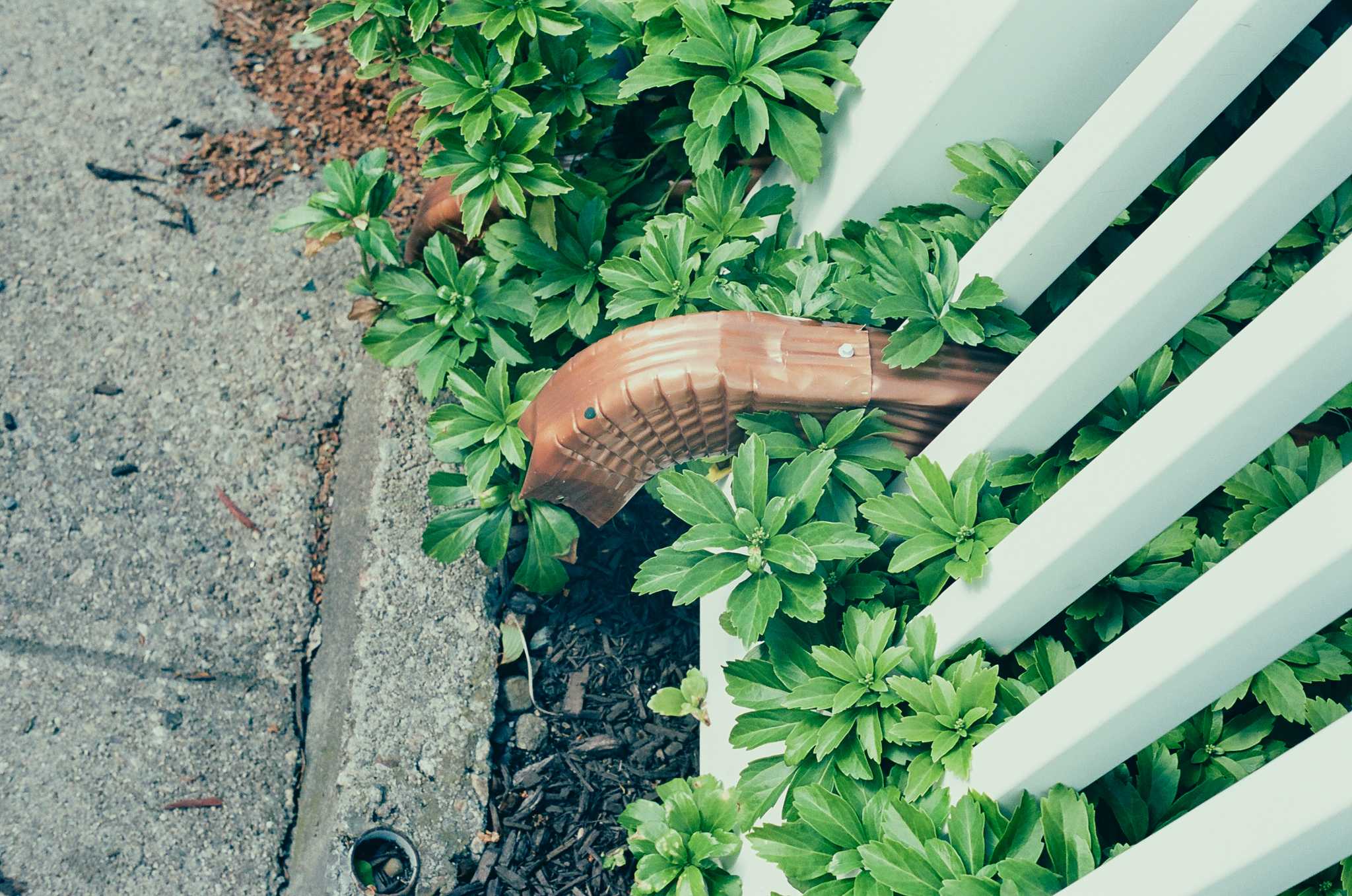 Leica M6 TTL | Leica Elmar 50mm f2.8 | Kodak Portra 160

Scanned with Noritsu LS-600

Lab developed in Kodak Flexicolor