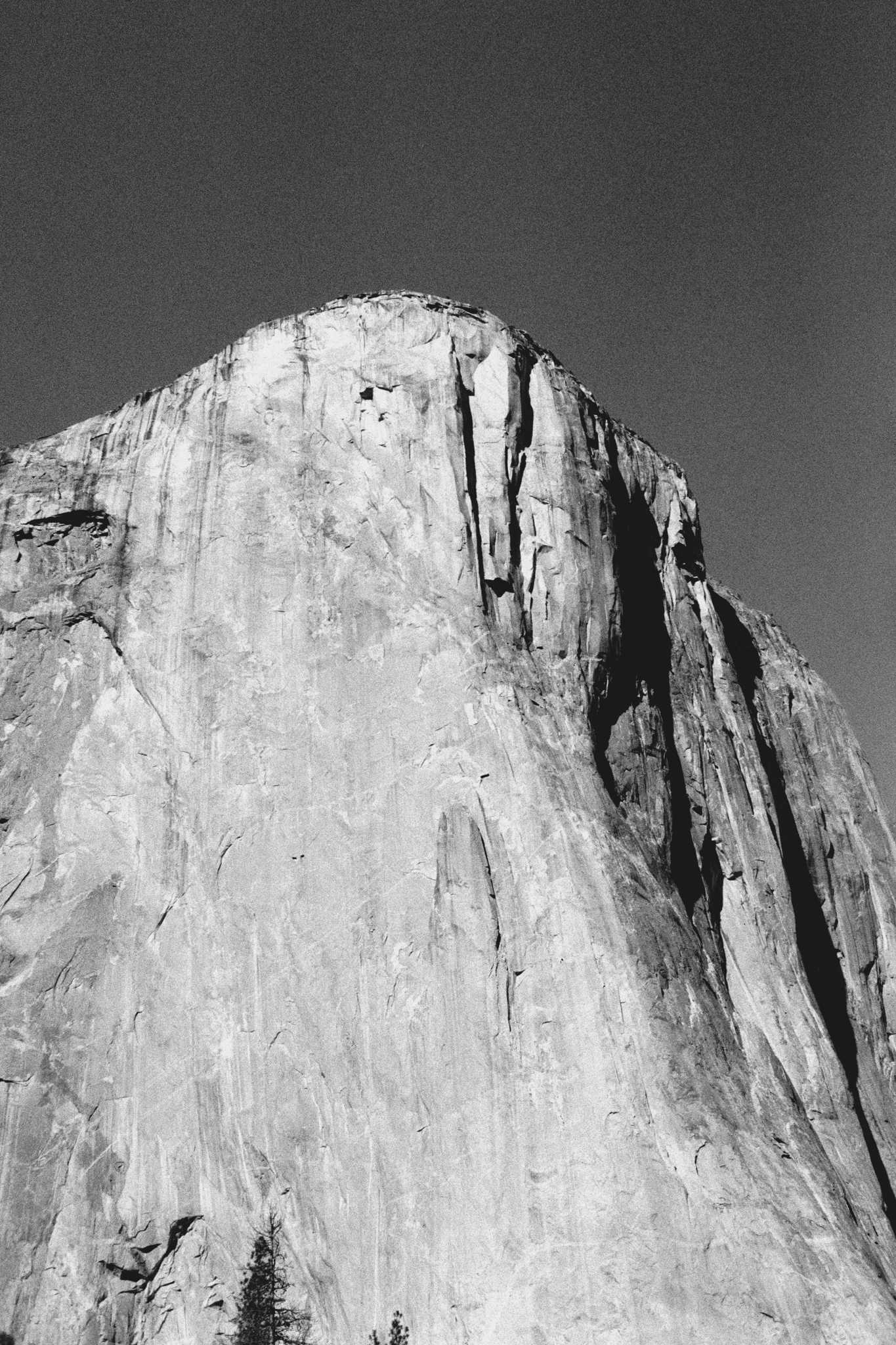 Negative Lab Pro v2.2.0 | Color Model: B+W | Pre-Sat: 3 | Tone Profile: LAB –
Standard | WB: Auto-Neutral | LUT: Frontier