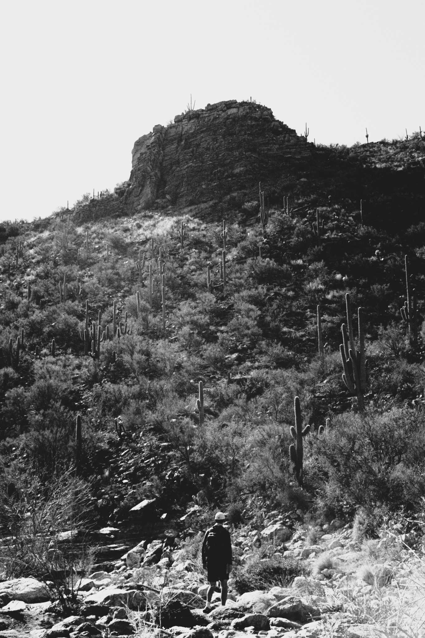 Negative Lab Pro v2.2.0 | Color Model: B+W | Pre-Sat: 4 | Tone Profile: LAB –
Hard | WB: Auto-Neutral | LUT: Frontier