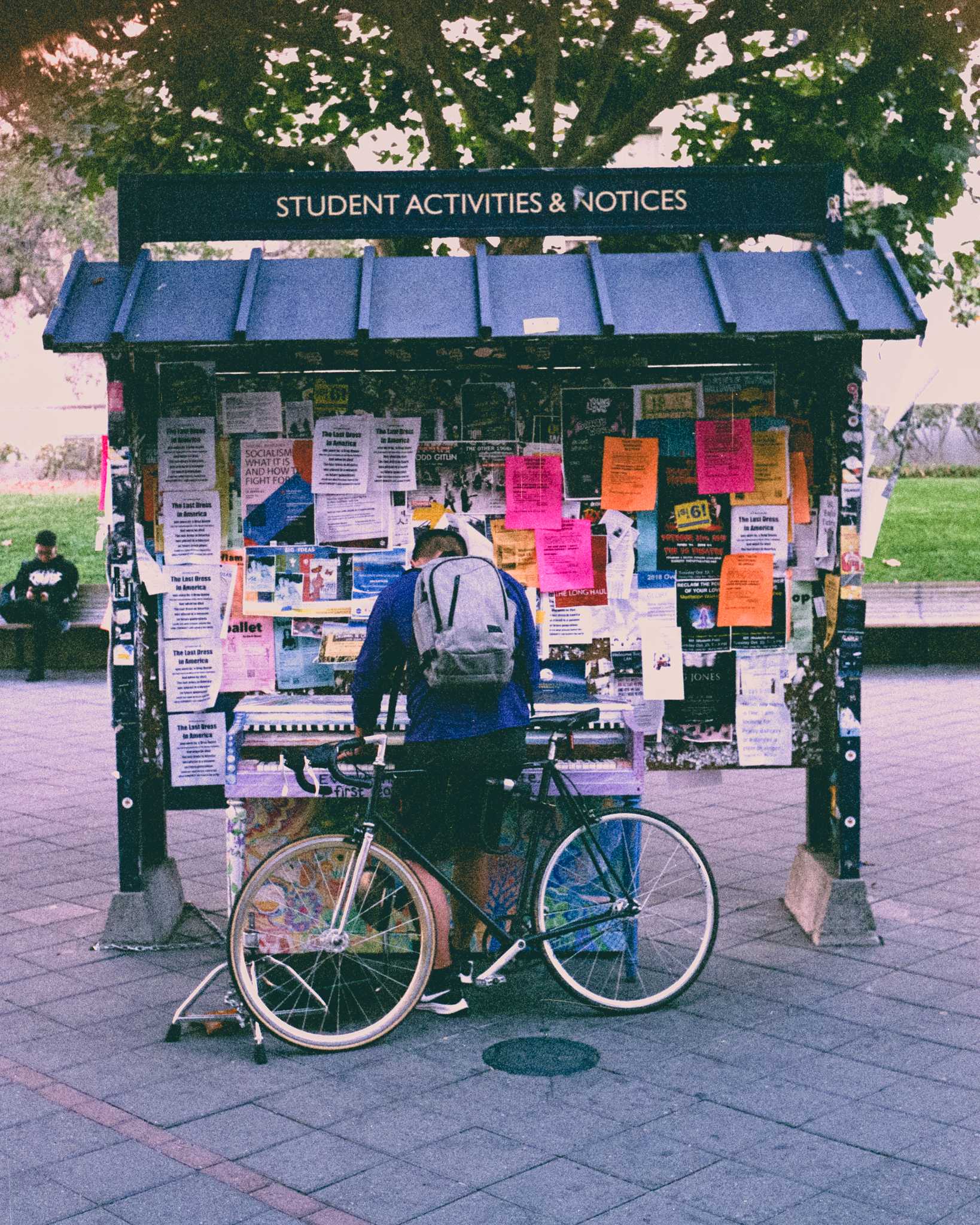 Rollei 35 | Zeiss Tessar 40mm | Fujicolor Superia Xtra 400

Scanned with Noritsu LS-600

Lab developed in Kodak Flexicolor