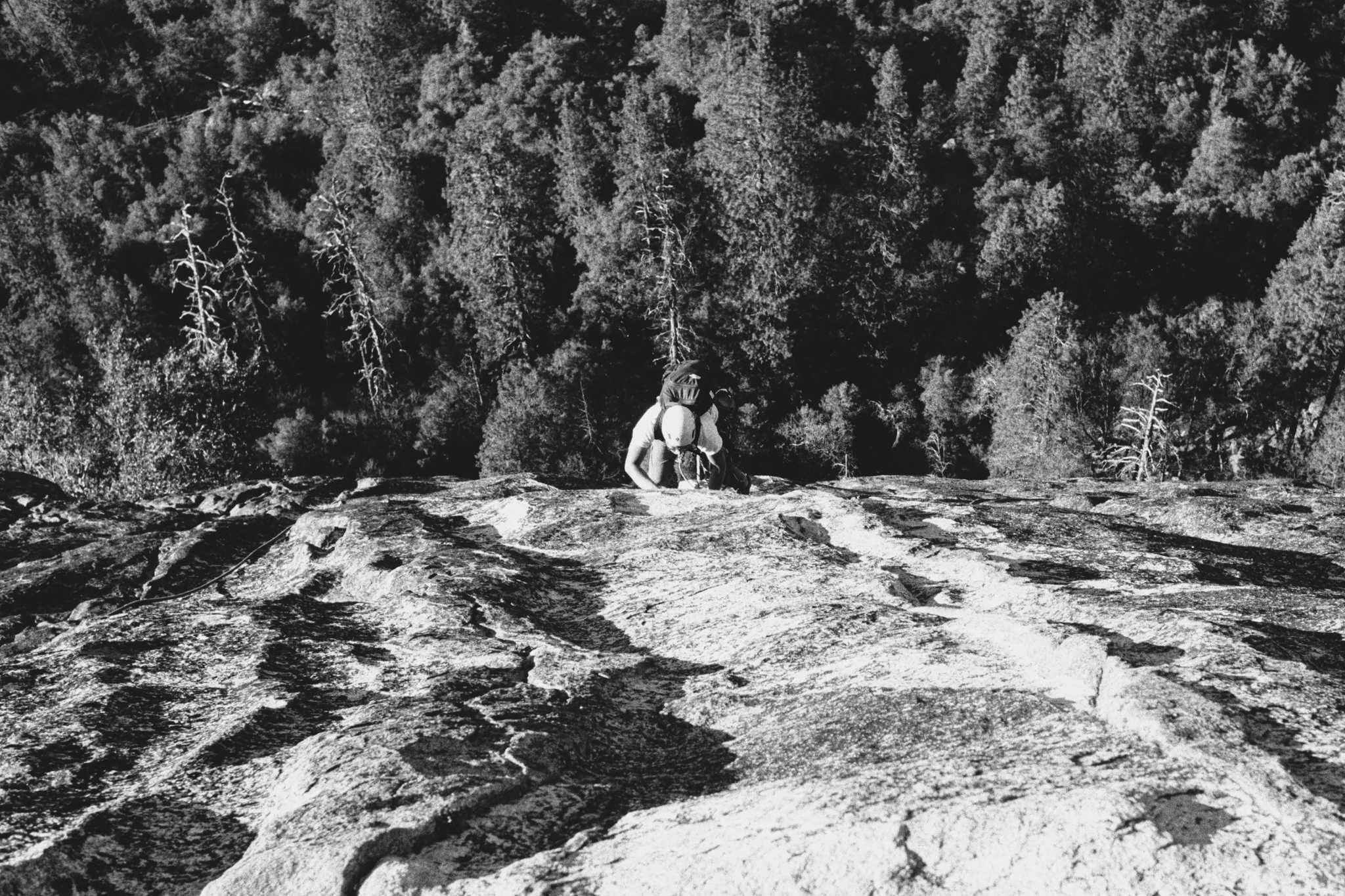 Negative Lab Pro v2.2.0 | Color Model: B+W | Pre-Sat: 3 | Tone Profile: LAB –
Standard | WB: Auto-Neutral | LUT: Frontier