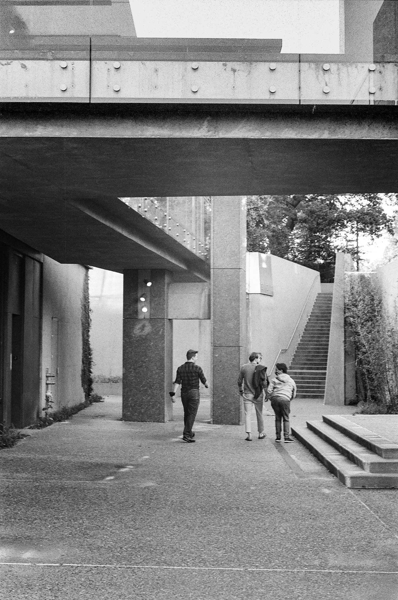 Leica M6 TTL | Leica Elmar 50mm f2.8 | Kodak Tri-X 400

Scanned with Noritsu LS-600

Lab developed in Kodak Xtol