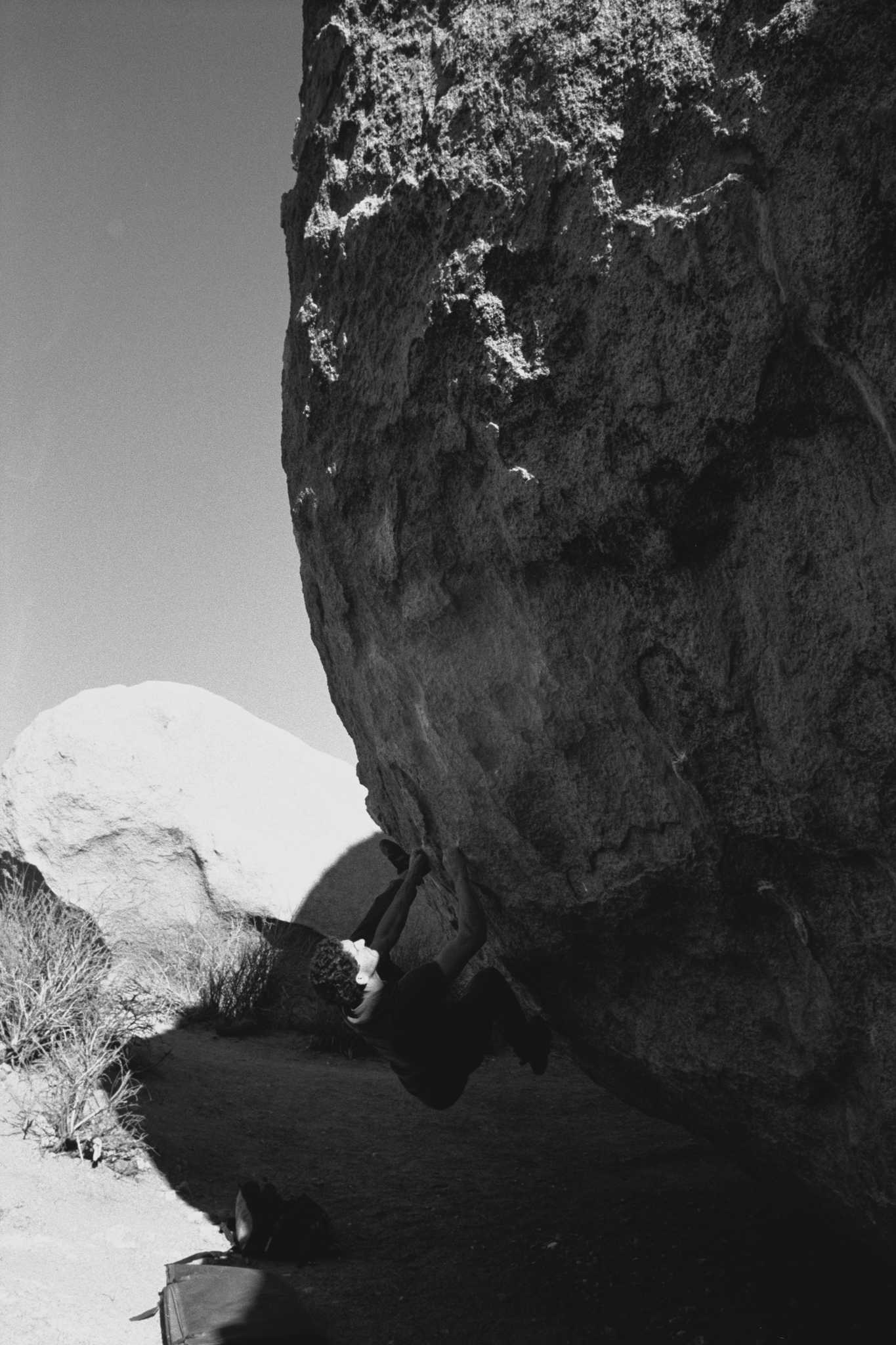 Nikonos V | Nikon 35mm f/2.5 | Kodak Tri-X 400

Digitized with Canon EOS Rebel T7 w/Tamron 90mm f/2.8 Macro | Skier Sunray Box 3
| Skier Sunray Box 3

Lab developed in

Negative Lab Pro v2.2.0 | Color Model: B+W | Pre-Sat: 3 | Tone Profile: LAB –
Standard | WB: Auto-Neutral | LUT: Frontier