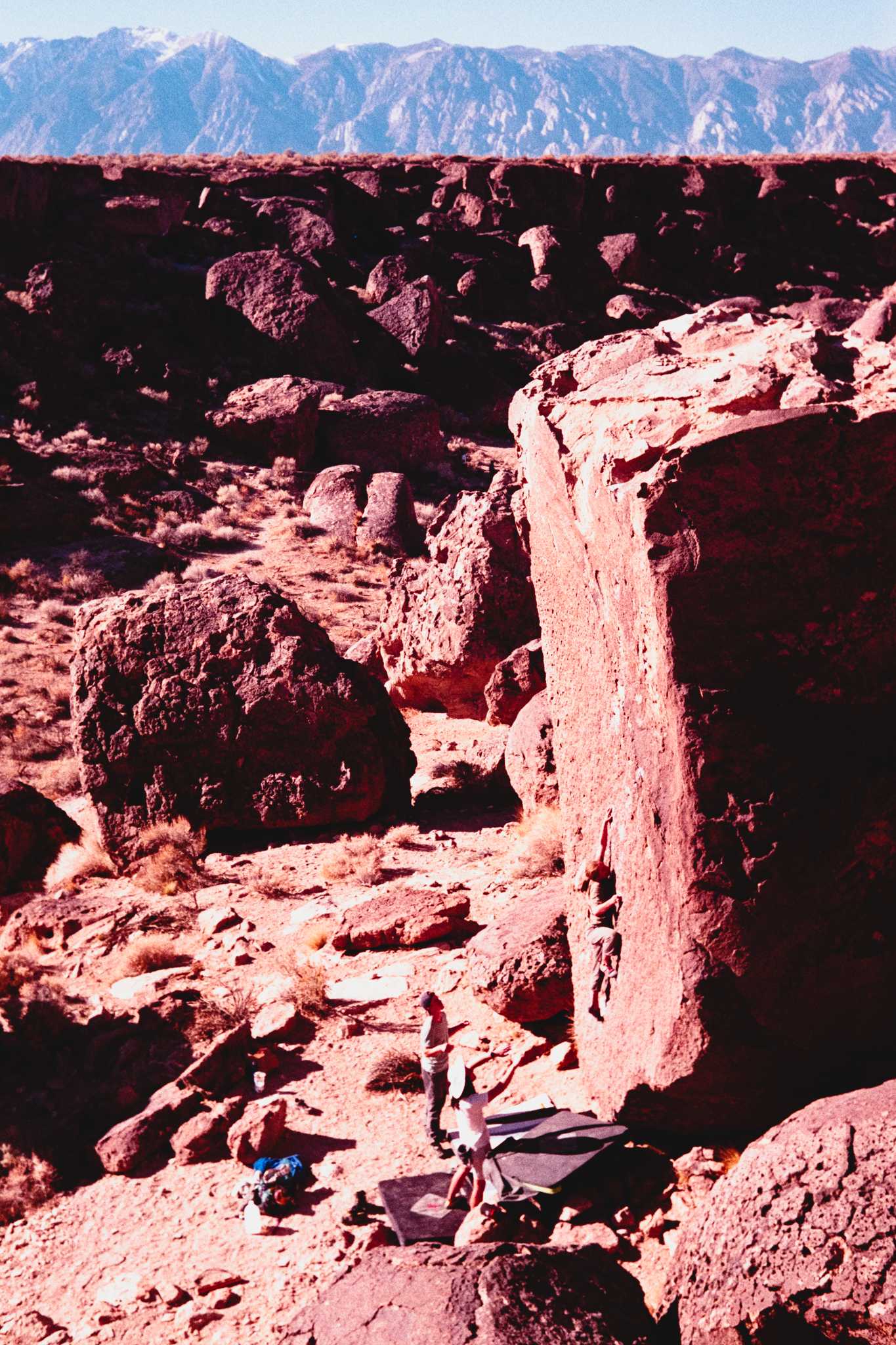 Nikonos V | Nikon 35mm f/2.5 | Fuji Superia Xtra 400

Digitized with Canon EOS Rebel T7 w/Tamron 90mm f/2.8 Macro | Skier Sunray Box 3
| Skier Sunray Box 3

Lab developed in

Negative Lab Pro v2.2.0 | Color Model: Frontier | Pre-Sat: 4 | Tone Profile: LAB
– Hard | LUT: Frontier