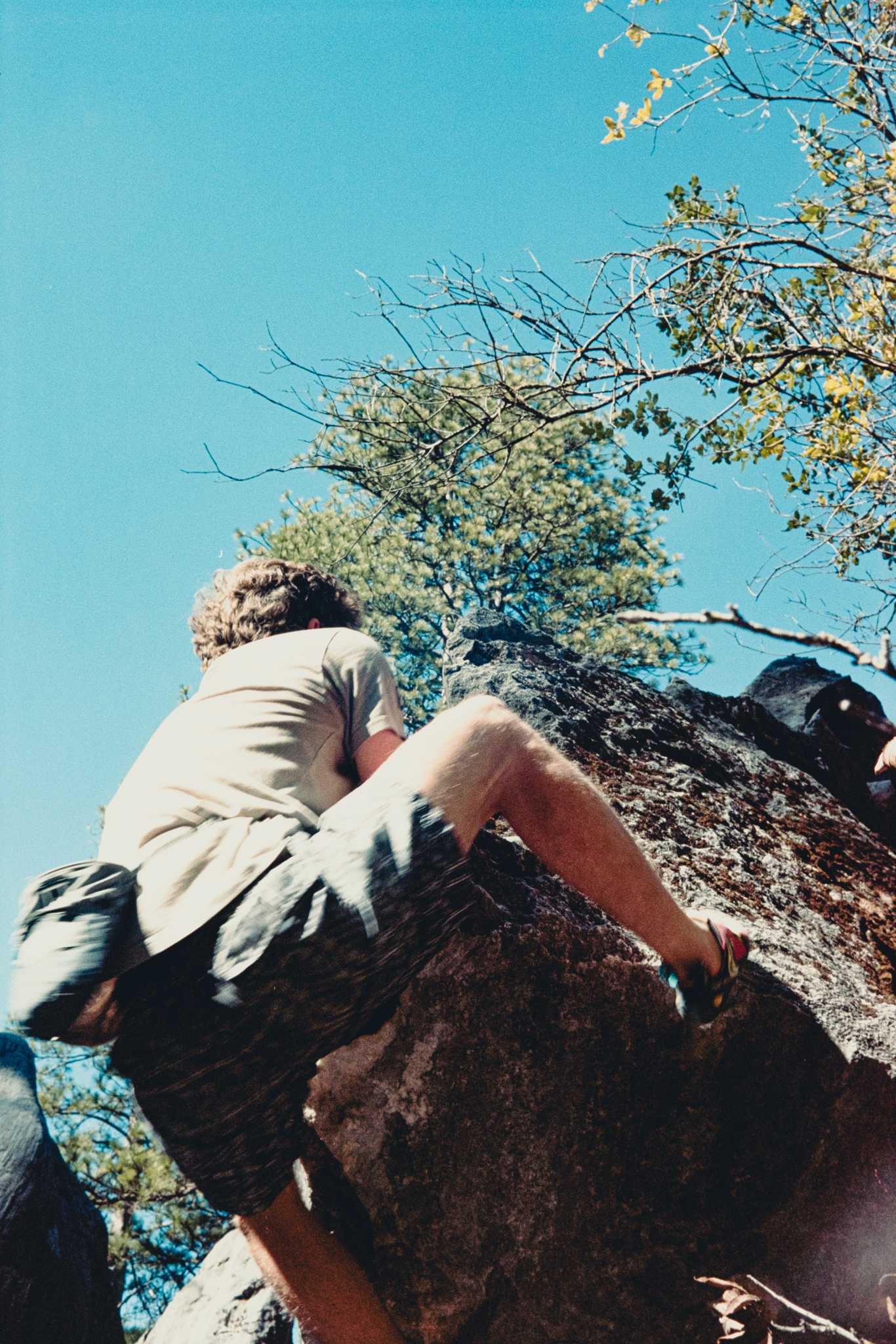 Nikonos V | Nikon 35mm f/2.5 | Kodak Portra 160

Digitized with Canon EOS Rebel T7 w/Tamron 90mm f/2.8 Macro | Skier Sunray Box 3
| Skier Sunray Box 3

Lab developed in

Negative Lab Pro v2.2.0 | Color Model: Frontier | Pre-Sat: 4 | Tone Profile: LAB
– Standard | WB: Kodak | LUT: Frontier