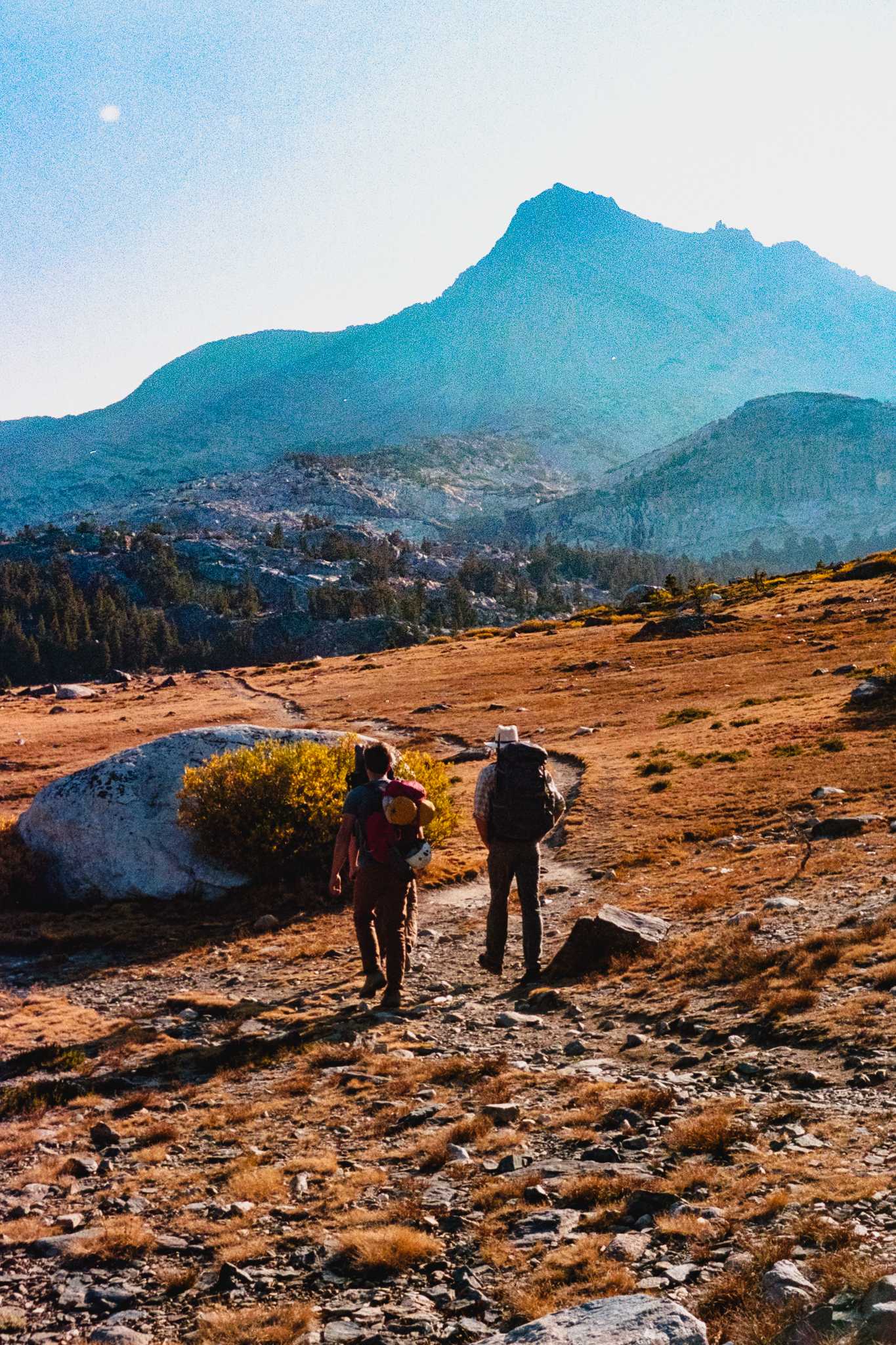 Rollei 35 | Zeiss Tessar 40mm | Kodak Portra 160

Lab developed in Kodak Flexicolor

Negative Lab Pro v2.2.0 | Color Model: Frontier | Pre-Sat: 3 | Tone Profile: LAB
– Standard | WB: Auto-Neutral | LUT: Frontier