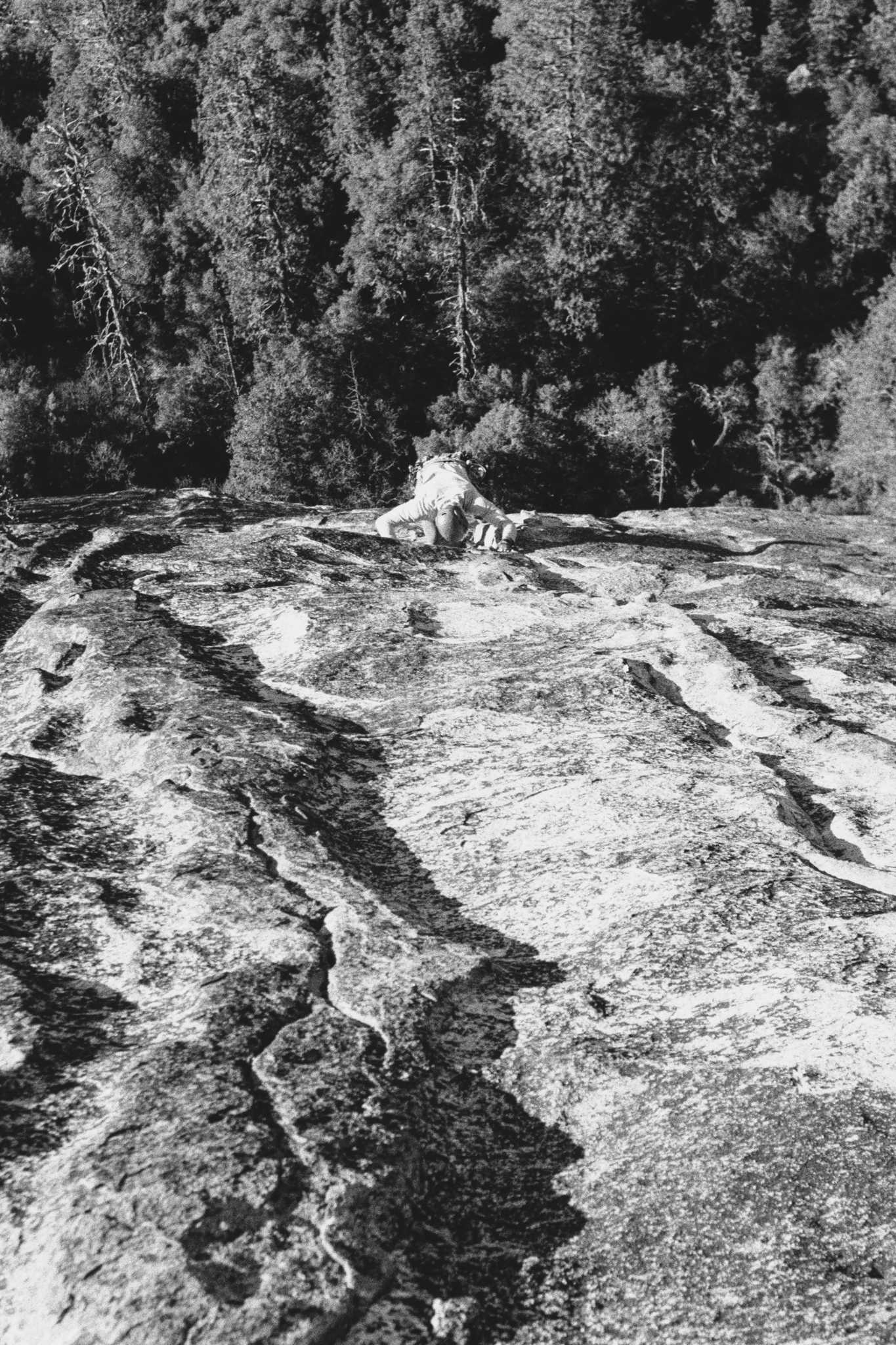 Negative Lab Pro v2.2.0 | Color Model: B+W | Pre-Sat: 3 | Tone Profile: LAB –
Standard | WB: Auto-Neutral | LUT: Frontier