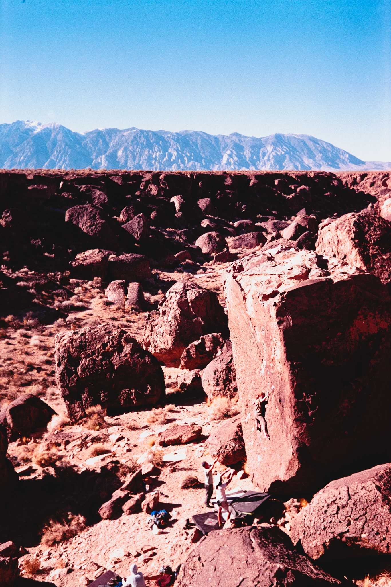 Nikonos V | Nikon 35mm f/2.5 | Fuji Superia Xtra 400

Digitized with Canon EOS Rebel T7 w/Tamron 90mm f/2.8 Macro | Skier Sunray Box 3
| Skier Sunray Box 3

Lab developed in

Negative Lab Pro v2.2.0 | Color Model: Frontier | Pre-Sat: 4 | Tone Profile: LAB
– Hard | LUT: Frontier