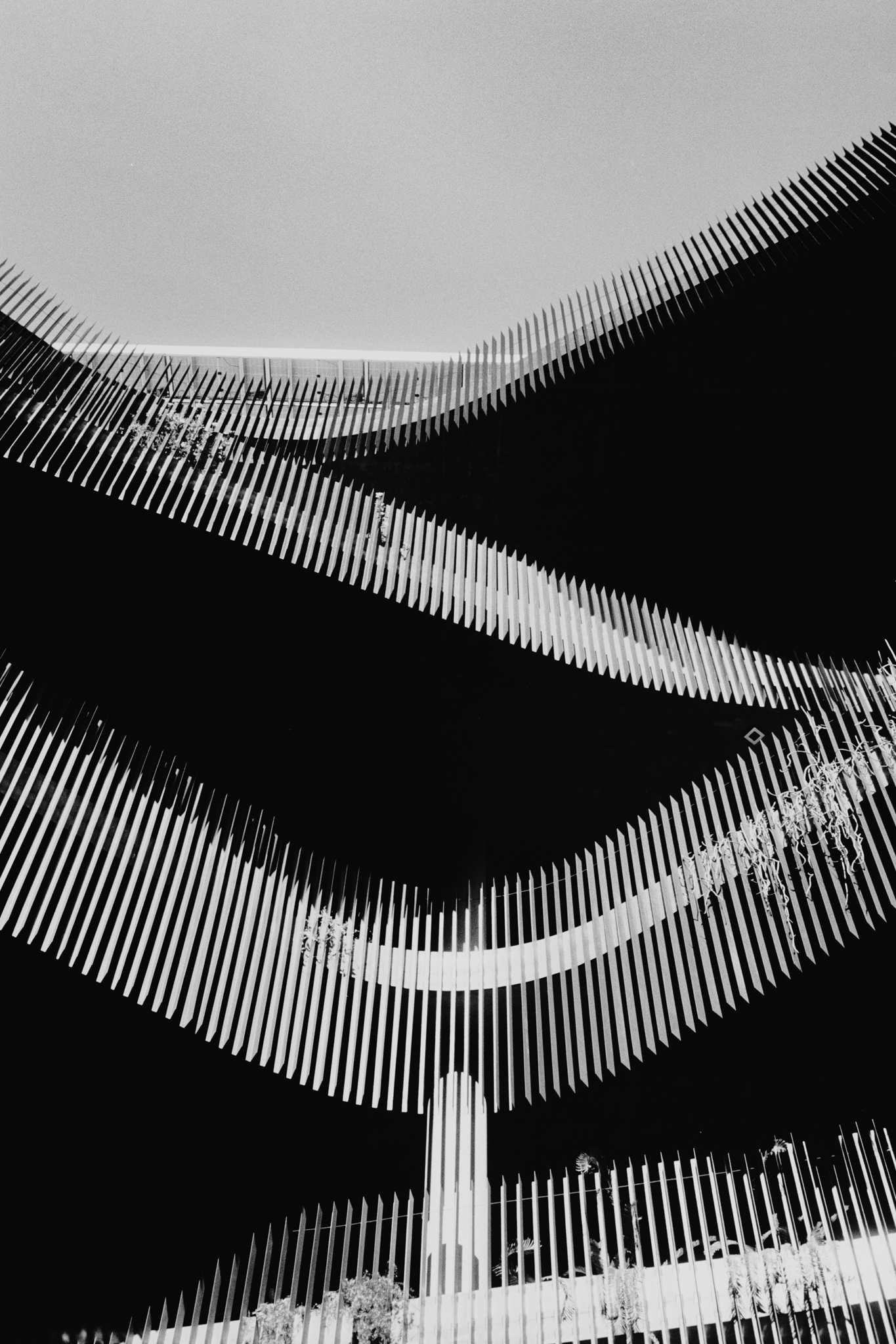 Negative Lab Pro v2.2.0 | Color Model: B+W | Pre-Sat: 4 | Tone Profile: LAB –
Shadow Hard | WB: Auto-Neutral | LUT: Frontier