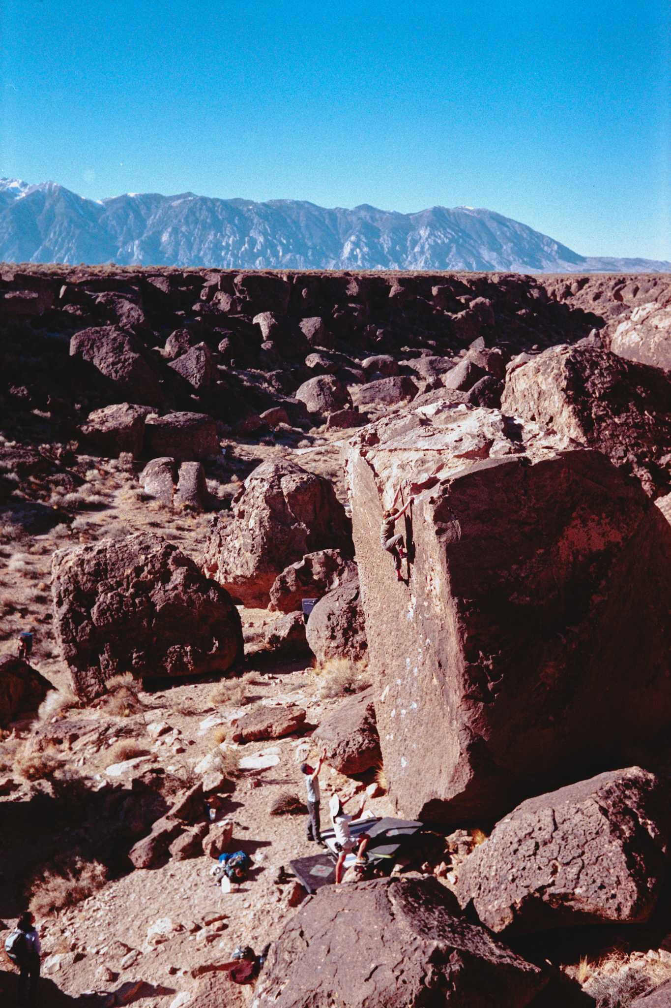 Nikonos V | Nikon 35mm f/2.5 | Fuji Superia Xtra 400

Digitized with Canon EOS Rebel T7 w/Tamron 90mm f/2.8 Macro | Skier Sunray Box 3
| Skier Sunray Box 3

Lab developed in

Negative Lab Pro v2.2.0 | Color Model: Frontier | Pre-Sat: 4 | Tone Profile: LAB
– Hard | WB: Auto-Warm | LUT: Frontier