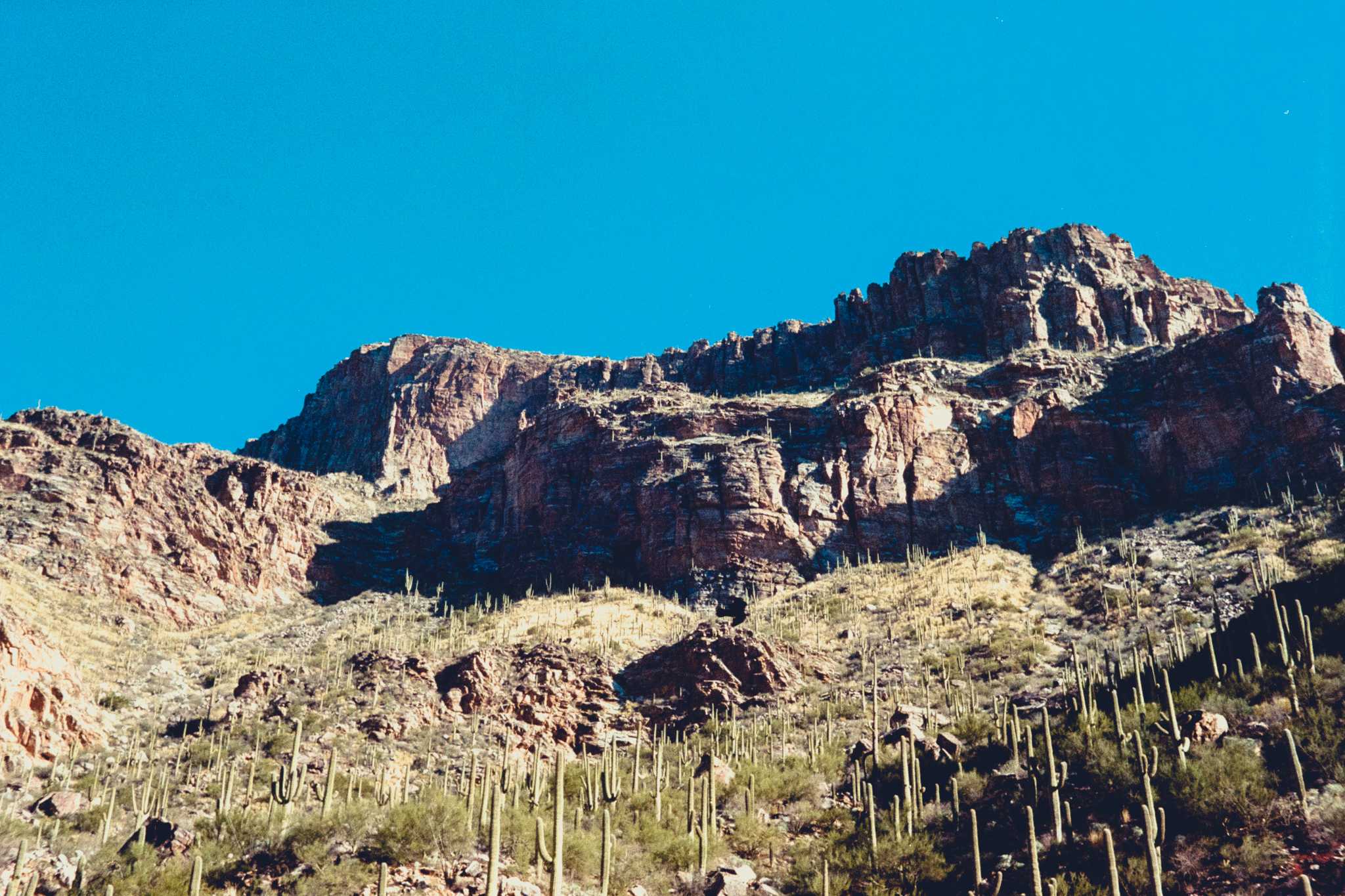 Rollei 35 | Zeiss Tessar 40mm | Kodak Color Gold 400

Lab developed in Kodak Flexicolor

Negative Lab Pro v2.2.0 | Color Model: Frontier | Pre-Sat: 4 | Tone Profile: LAB
– Soft | WB: Auto-Warm | LUT: Frontier