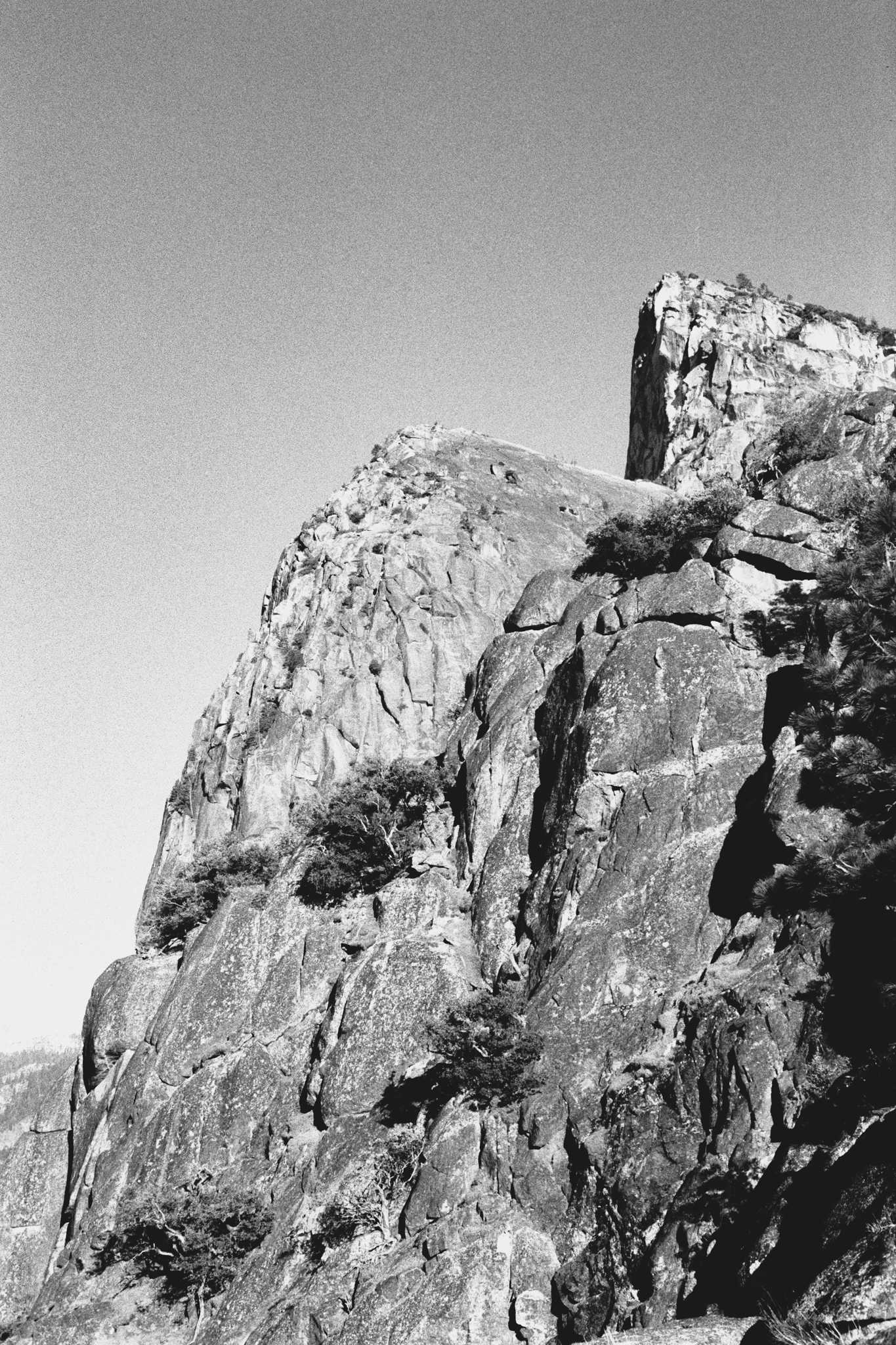 Negative Lab Pro v2.2.0 | Color Model: B+W | Pre-Sat: 3 | Tone Profile: LAB –
Standard | WB: Auto-Neutral | LUT: Frontier