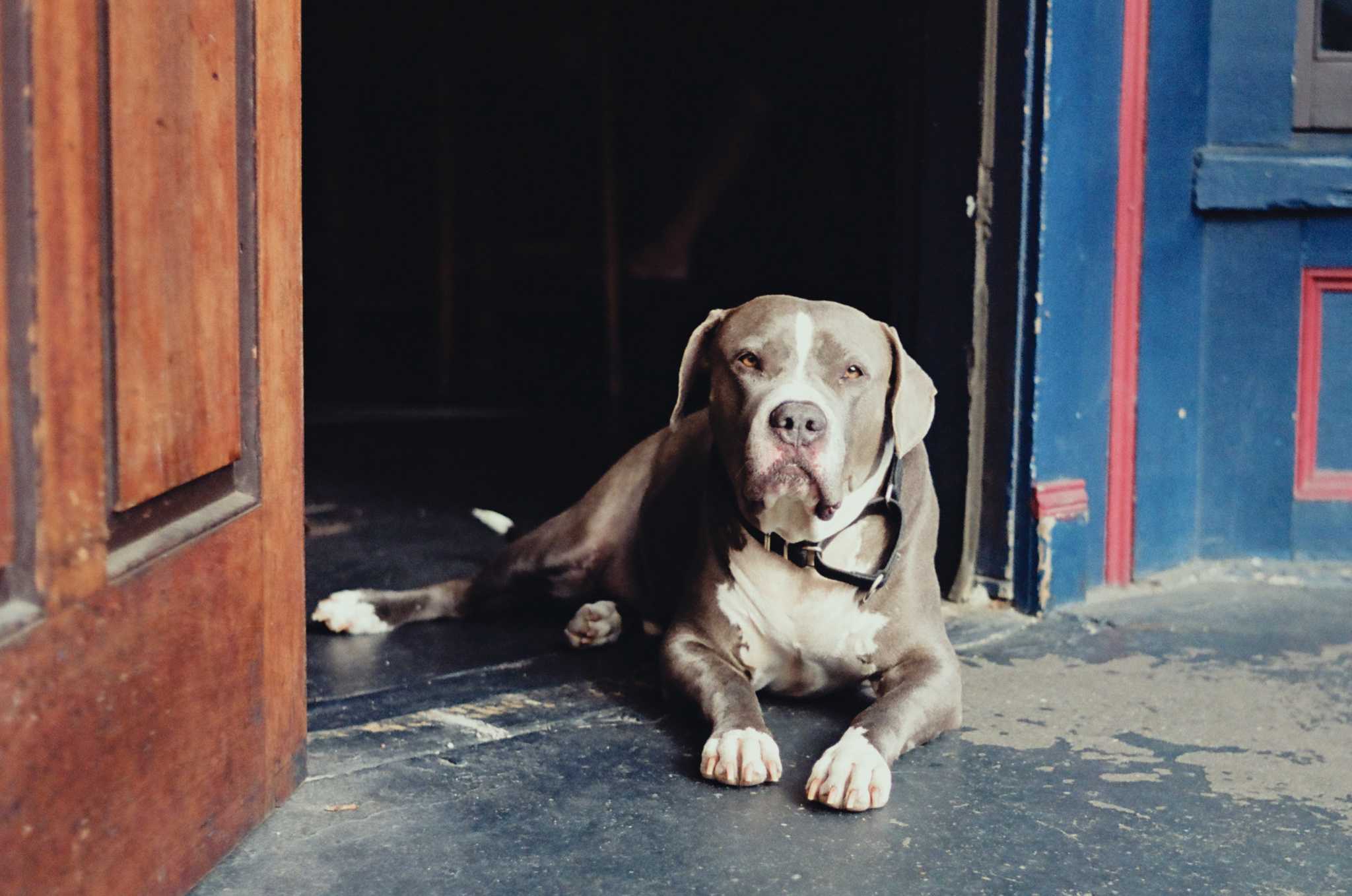 Leica M6 TTL | Leica Elmar 50mm f2.8 | Kodak Portra 160

Scanned with Noritsu LS-600

Lab developed in Kodak Flexicolor