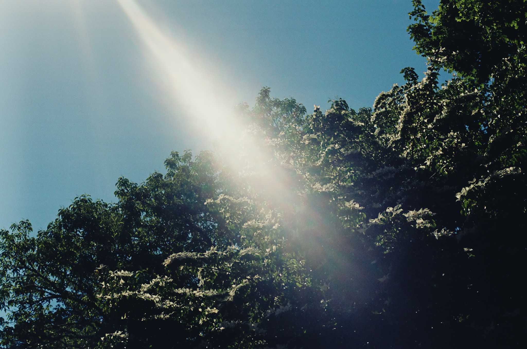 Leica M6 TTL | Leica Elmar 50mm f2.8 | Kodak Portra 160

Scanned with Noritsu LS-600

Lab developed in Kodak Flexicolor