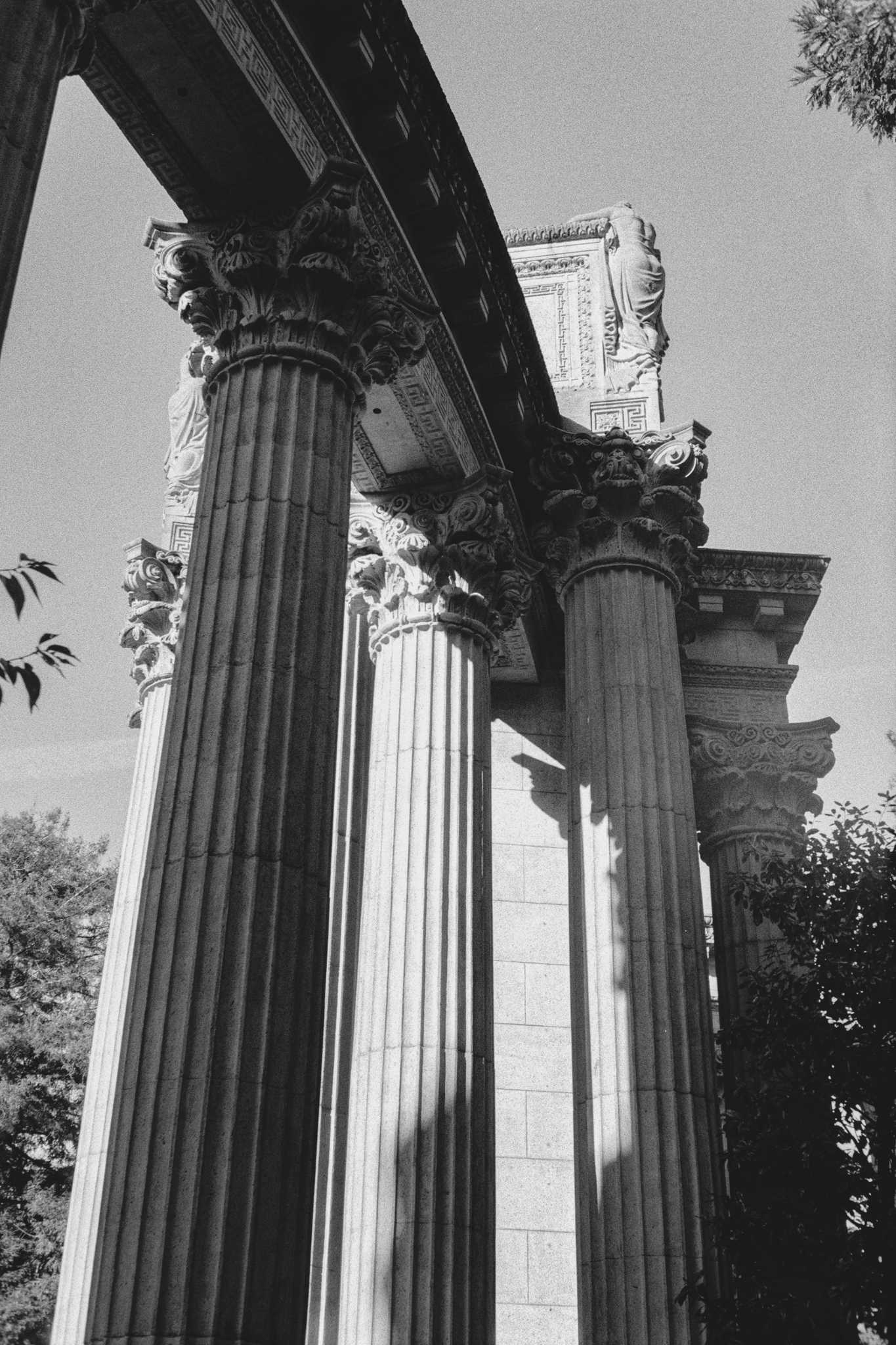 Negative Lab Pro v2.2.0 | Color Model: B+W | Pre-Sat: 3 | Tone Profile: LAB –
Standard | WB: Auto-Neutral | LUT: Frontier