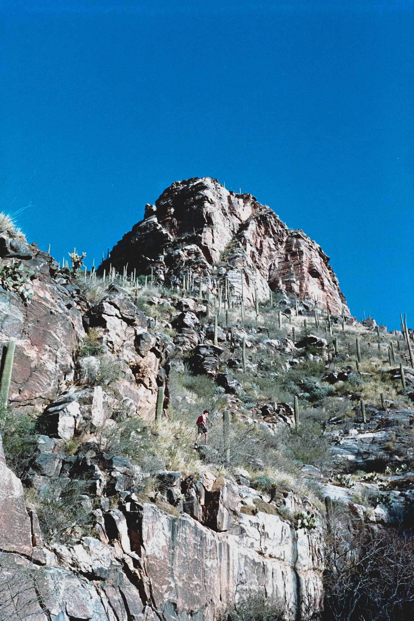 Rollei 35 | Zeiss Tessar 40mm | Kodak Color Gold 400

Lab developed in Kodak Flexicolor

Negative Lab Pro v2.2.0 | Color Model: Frontier | Pre-Sat: 4 | Tone Profile: LAB
– Shadow Soft | WB: Auto-Neutral | LUT: Frontier